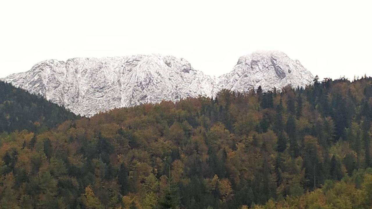 Apartament 33.13.A. Zakopane Bagian luar foto