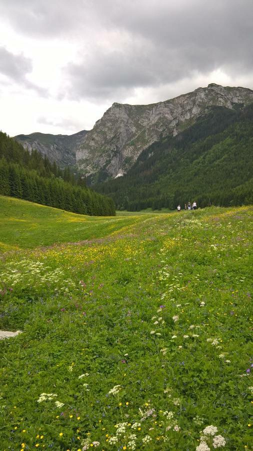 Apartament 33.13.A. Zakopane Bagian luar foto