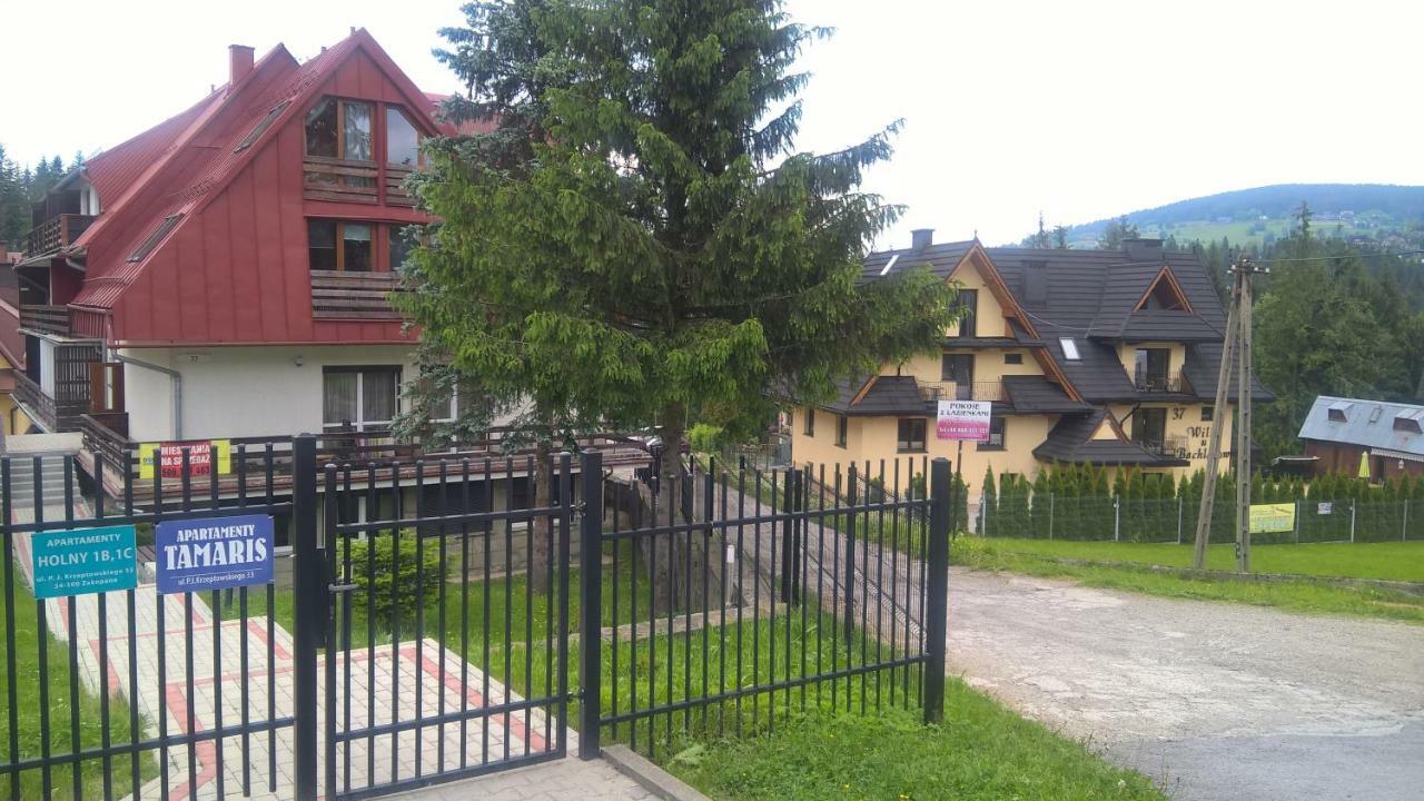 Apartament 33.13.A. Zakopane Bagian luar foto