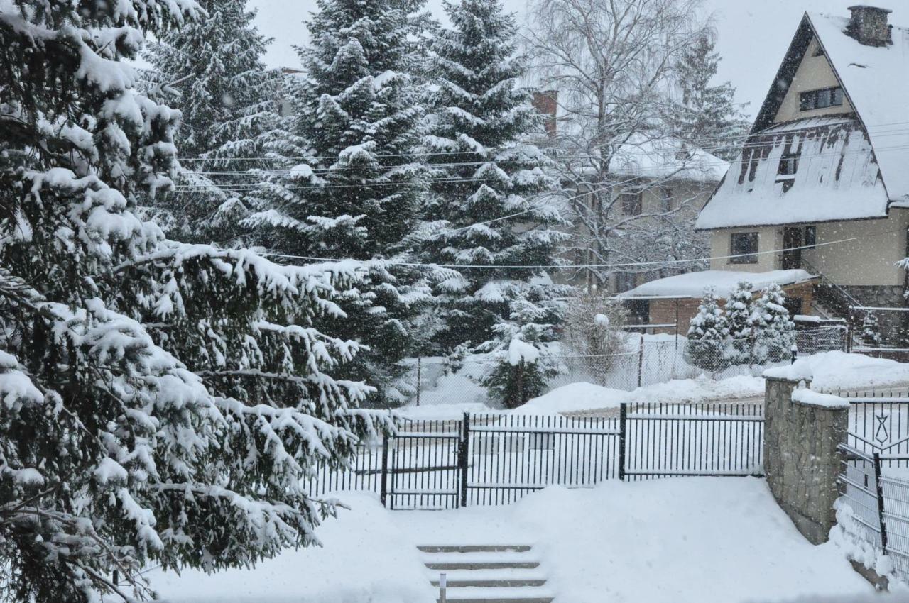 Apartament 33.13.A. Zakopane Bagian luar foto